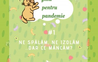 Ghid pentru pandemie #1