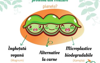 Proteina din Mazare