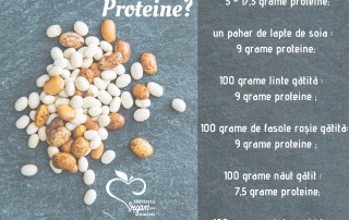 Informații nutriționale -Proteine